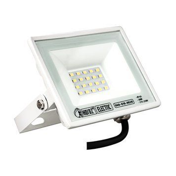 Прожектор світлодіодний БІЛИЙ "ASLAN-20" 20W 6400K 068-010-0020-040 фото